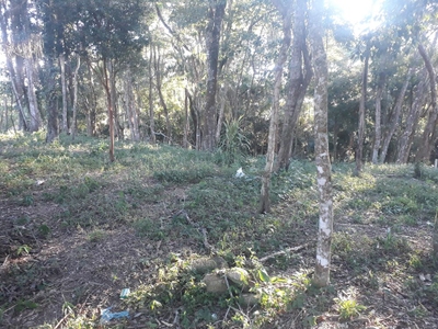 Terreno, 1000 m² - Foto 3