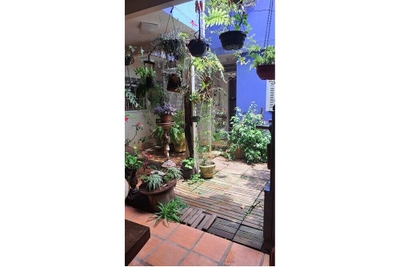 Casa, 4 quartos - Foto 4