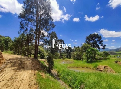 Sítio, 3 quartos, 5 hectares - Foto 4