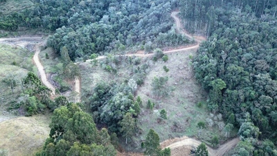 Chácara, 1 quarto, 5 hectares - Foto 4