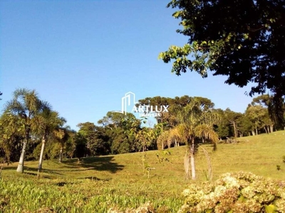 Sítio, 3 quartos, 10 hectares - Foto 1