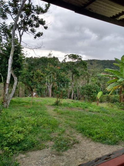 Sítio, 3 quartos, 1000 m² - Foto 2