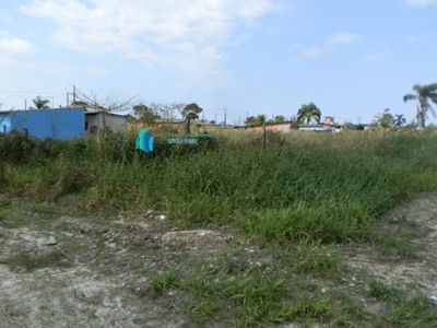 Terreno, 250 m² - Foto 3