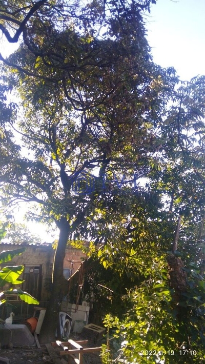 Terreno, 360 m² - Foto 4