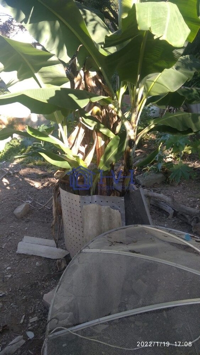 Terreno, 360 m² - Foto 5