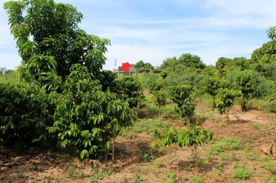 Chácara, 3 quartos, 6762 m² - Foto 3