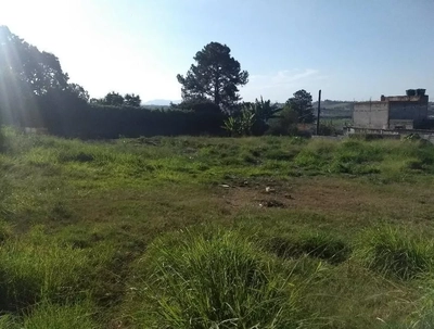 Terreno, 3000 m² - Foto 3