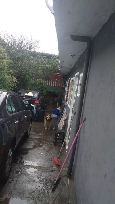 Casa, 2 quartos, 200 m² - Foto 3