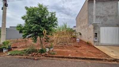 Terreno, 200 m² - Foto 4