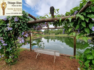 Chácara, 7 quartos, 2 hectares - Foto 3