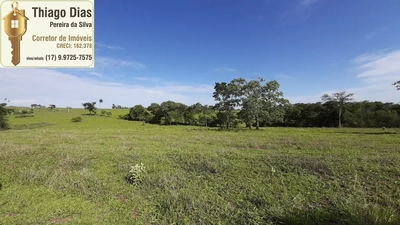 Sítio, 6 m² - Foto 1