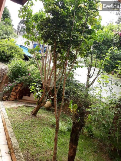 Chácara, 6 quartos - Foto 2