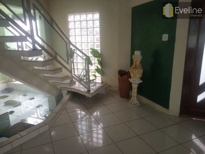 Chácara, 7 quartos, 2 hectares - Foto 2