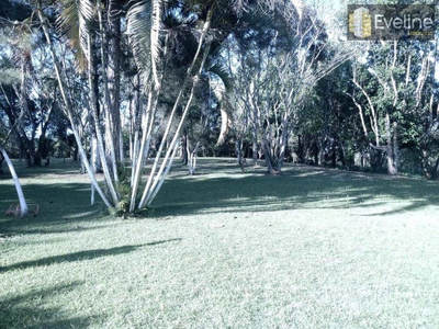 Chácara, 4 quartos, 3 hectares - Foto 4