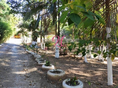 Chácara, 3 quartos - Foto 3