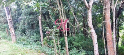 Terreno, 1128 m² - Foto 1