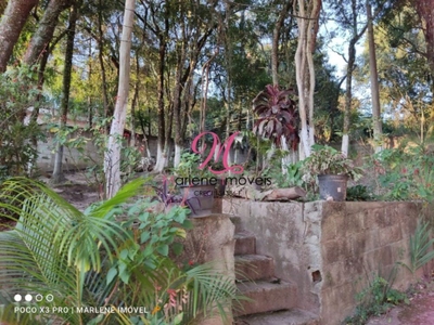 Chácara, 5 quartos - Foto 3