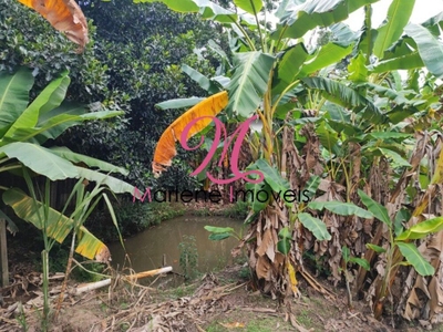 Chácara, 4 quartos - Foto 4