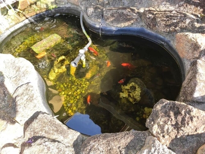 Chácara, 3 quartos - Foto 3