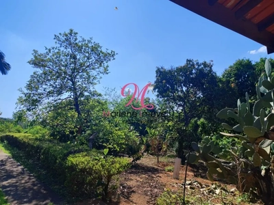 Terreno, 1195 m² - Foto 3