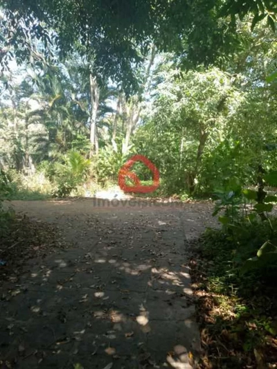 Terreno, 4000 m² - Foto 5