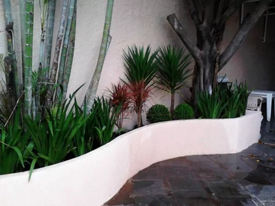 Loja-Salão, 400 m² - Foto 3