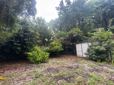 Sítio, 4474 m² - Foto 2