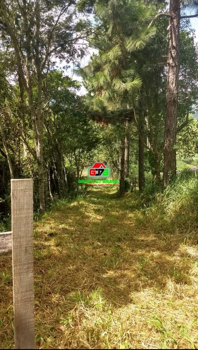 Terreno, 3 hectares - Foto 3