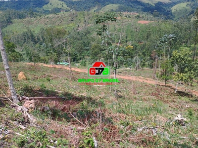 Terreno, 2 hectares - Foto 1