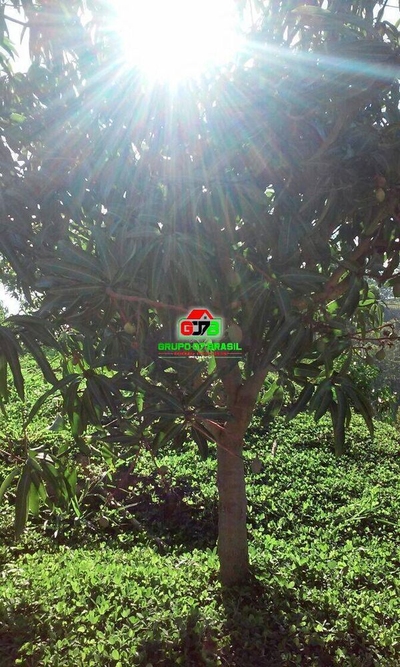 Sítio, 2 quartos, 3 hectares - Foto 3