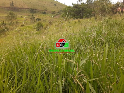 Terreno, 3 hectares - Foto 2