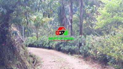 Terreno, 4 hectares - Foto 1