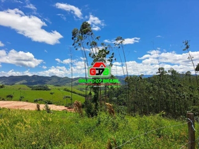 Terreno, 3 hectares - Foto 3