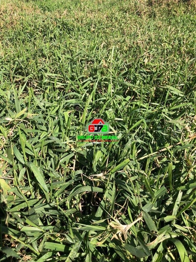 Terreno, 172 m² - Foto 2