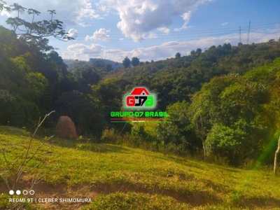 Terreno, 4 hectares - Foto 2