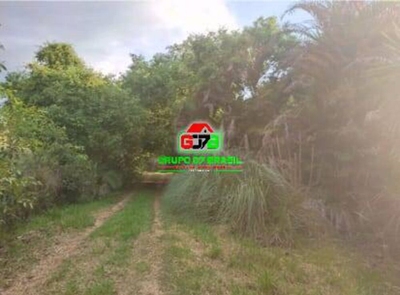 Terreno, 10 hectares - Foto 1