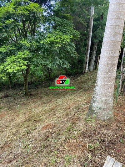 Terreno, 5200 m² - Foto 2