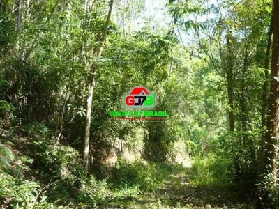 Terreno, 3 hectares - Foto 4