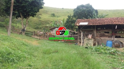 Sítio, 4 quartos, 150 m² - Foto 4