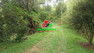 Sítio, 4 quartos, 150 m² - Foto 2