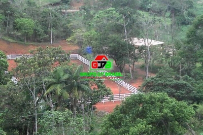 Fazenda, 4 hectares - Foto 1