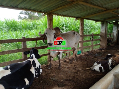 Terreno, 14 m² - Foto 4