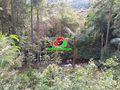 Sítio, 2 quartos, 1167 m² - Foto 3