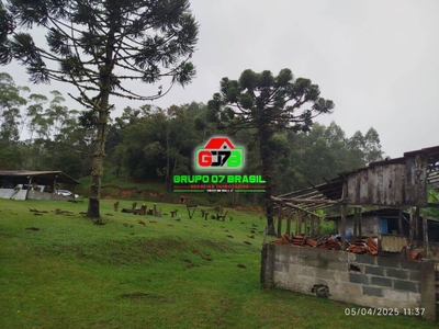 Sítio, 4 quartos, 100 m² - Foto 3