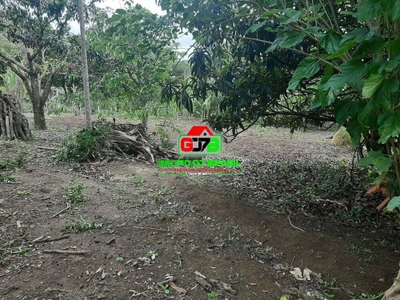 Terreno, 2300 m² - Foto 5