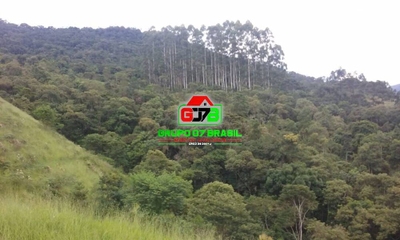 Terreno, 48 hectares - Foto 2