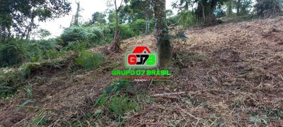 Terreno, 3 hectares - Foto 4