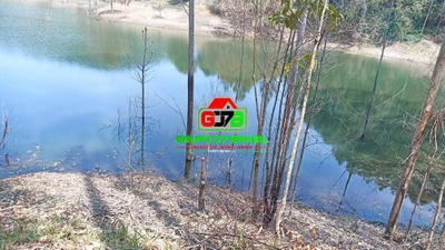 Chácara, 7 quartos, 2 hectares - Foto 1