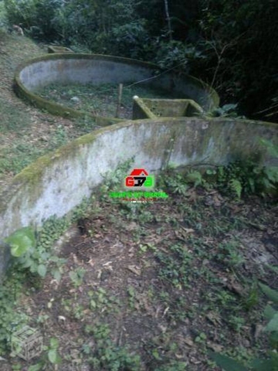 Terreno, 87 hectares - Foto 4