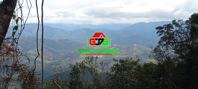 Terreno, 2 hectares - Foto 4